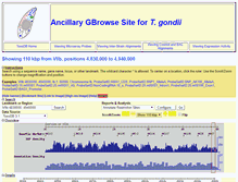 Tablet Screenshot of ancillary.toxodb.org
